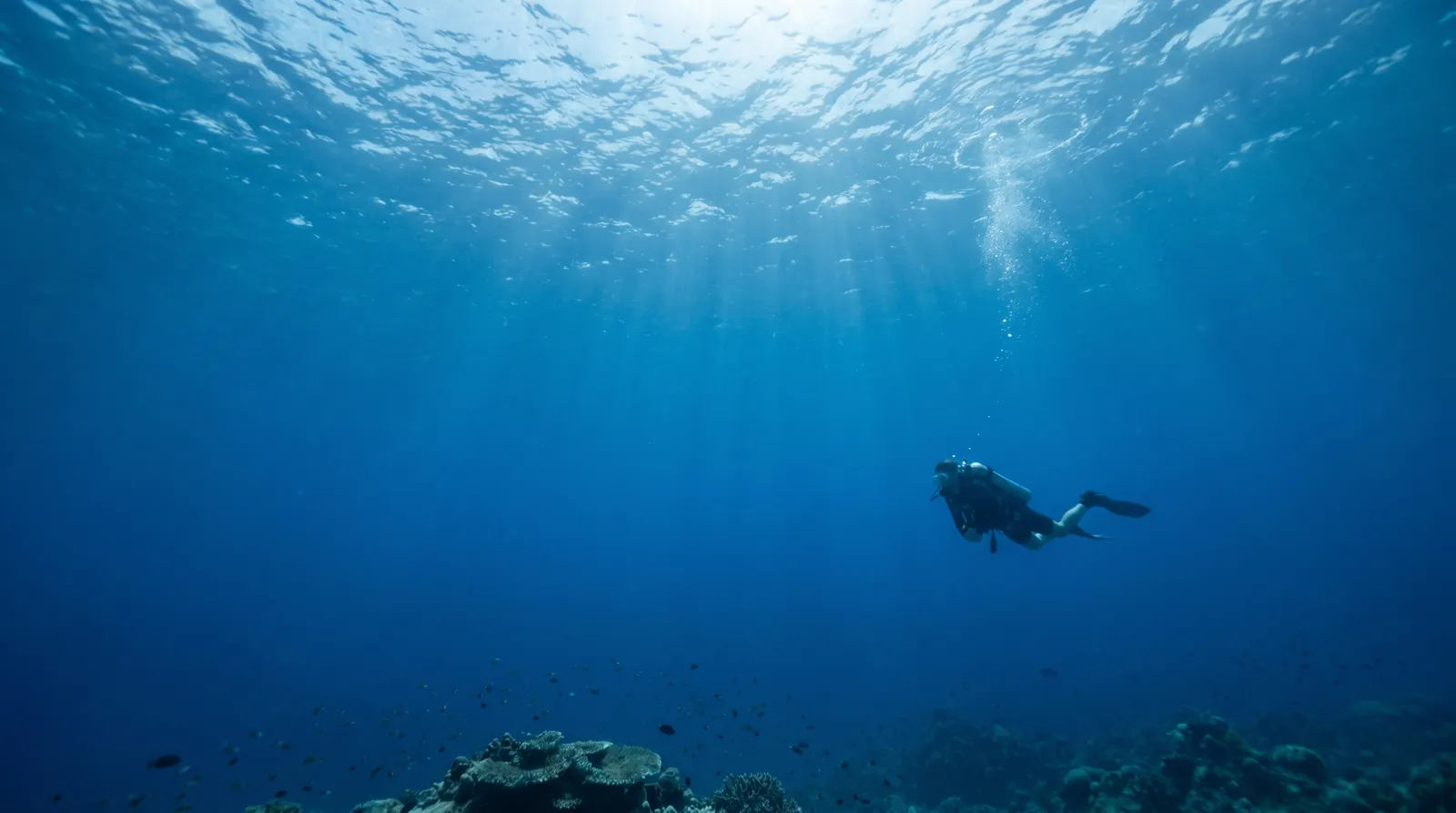 Plongeur évoluant dans une eau bleue et claire, rayons de lumière traversant la surface